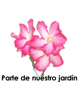 Clinica para Adelgazar para Hombres